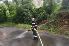 51a28625-f750-46e4-b303-31a8df31e64e