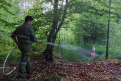 WhatsApp-Bild-2025-07-05-um-12.55.00_1bb0eb16-scaled