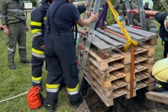 IMG-20250616-WA0005-scaled