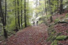 Wandertag 22.10.2011