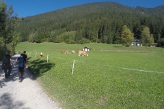 DCIM\100GOPRO\GOPR1870.