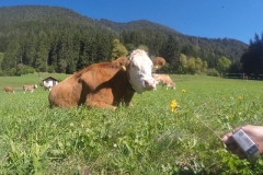 DCIM\100GOPRO\GOPR1872.