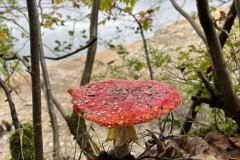 Wandertag-2022-23