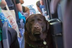 IMG_0987