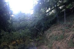 Foto-11