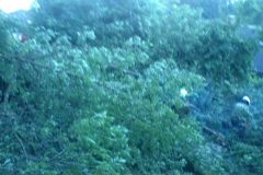Foto-23