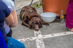 IMG_0490
