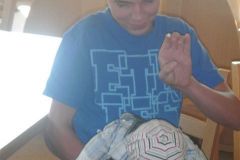 BILD0950