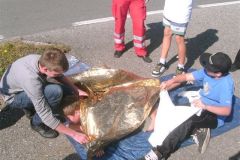 BILD1018