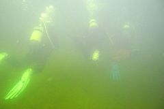 M0010079