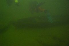 M0010083