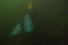 M0010112