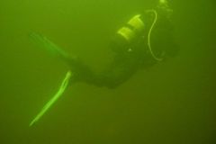 M0010153