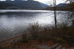 M0010165