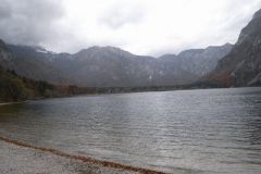 M0010167