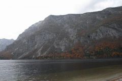 M0010168