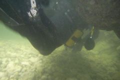 M0010200