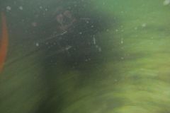 M0010201