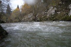 M0010206