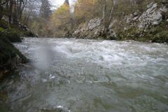 M0010207