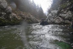 M0010208