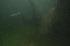 M0010213