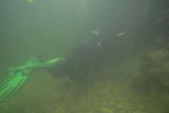 M0010217