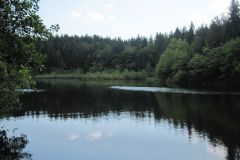 Wandertag541