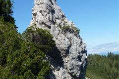 P1030141